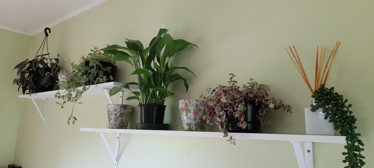 Earthsounds Country Cottage Taumarunui Zewnętrze zdjęcie