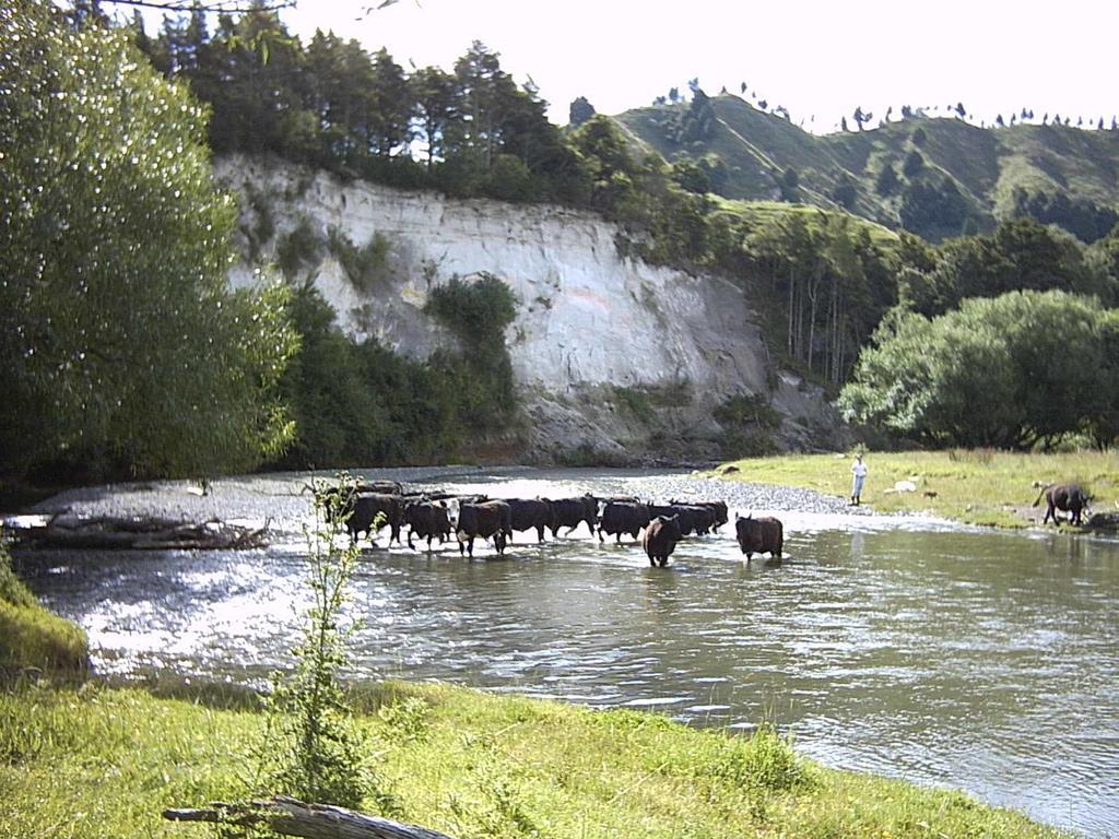 Earthsounds Country Cottage Taumarunui Zewnętrze zdjęcie